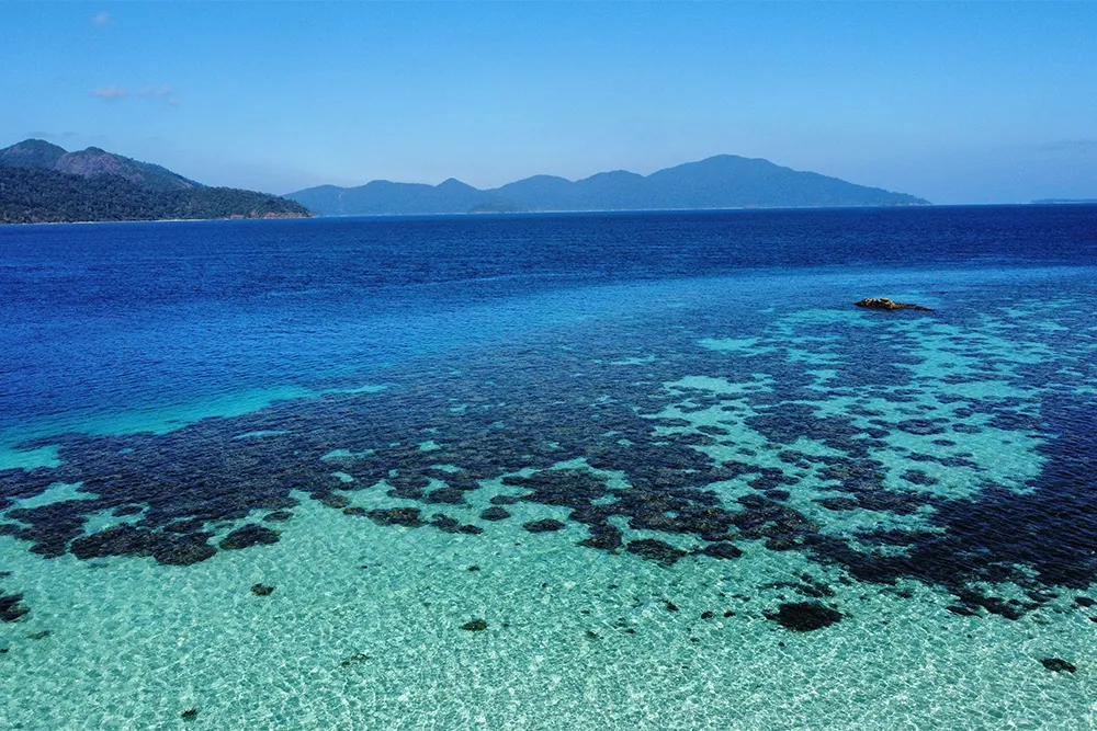 lipe 2